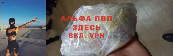 индика Белоозёрский