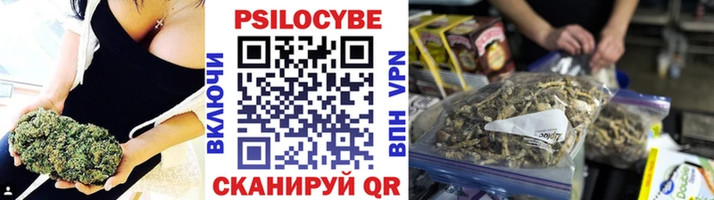 где купить наркоту  Вязники  Галлюциногенные грибы MAGIC MUSHROOMS 