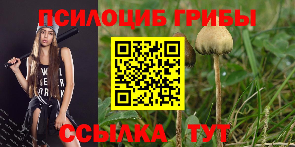 Галлюциногенные грибы мицелий  Вход с VPN  где продают   Вязники 